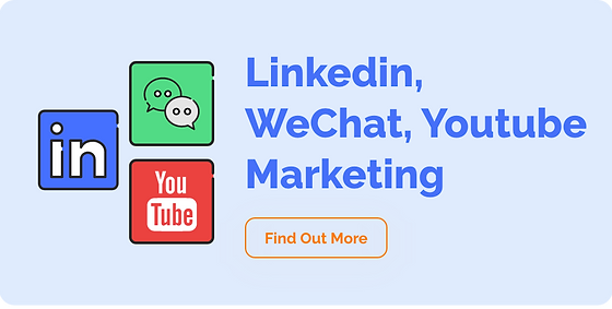 Linkedin WeChat Youtube Marketing